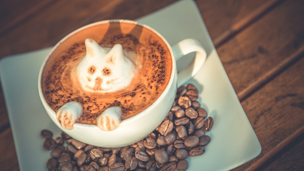 The Best Latte Coffee Machine Reviews Percolated.co.uk 2020