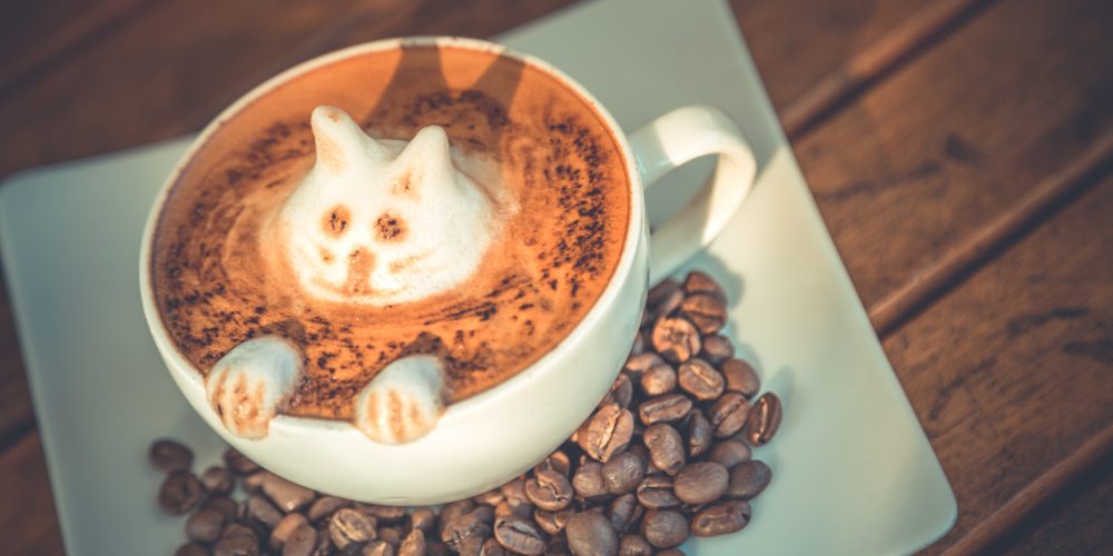 The Best Latte Machines Compared